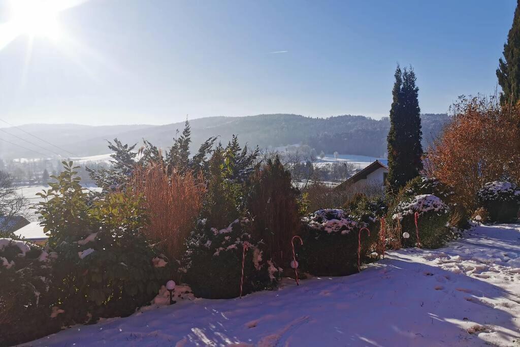 Chalet Bambi Blaibach المظهر الخارجي الصورة